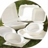 Biodegradable Paper Plates & Bowls