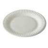 Round Paper Plates - 6.5