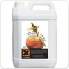 Chisel Concentrate With Pure Orange Oil*
