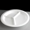 Foam Dinner Plates -3 Division -10.25¨ Diameter