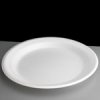 Foam Luncheon Main Meal Plates - 9¨ Diameter