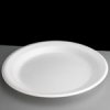 Foam Dinner Plates -10.25¨ Diameter