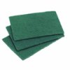 Green Catering Scourers