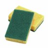 Large Catering Sponge Scourers